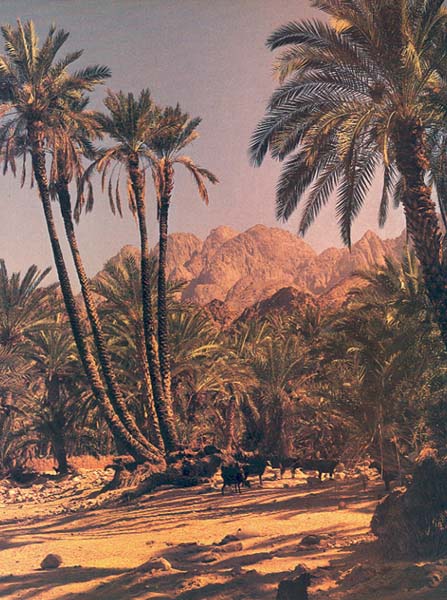 israelites travelling in the desert