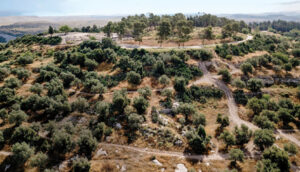 Tel Hadid and the surrounding landscape