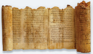 Temple Scroll_Zev Radovan 217-2